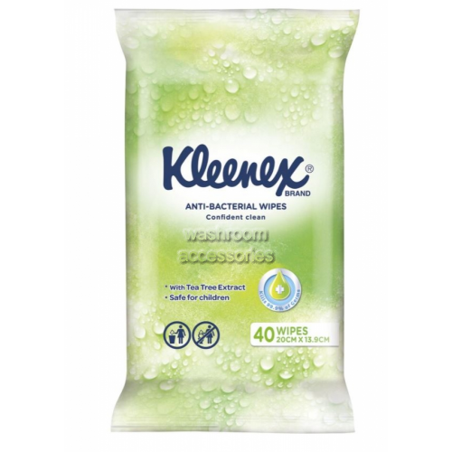21290 Anti-Bacterial Wet Wipes