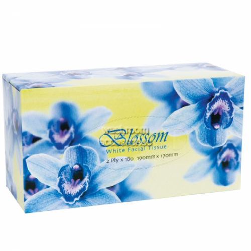 View Blossom Facial Tissues 2 Ply details.
